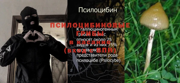 стафф Киреевск