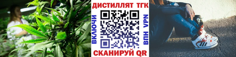 Дистиллят ТГК концентрат  Купить закладки  Шагонар 